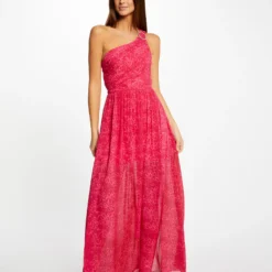 Robe Longue évasée Imprimé Léopard Rose Femme